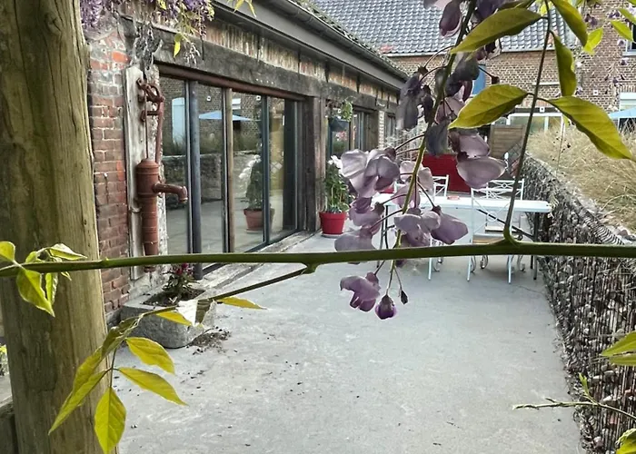 Au Champ Du Bouillon Proche De Pairi Daiza Wellness En Option *